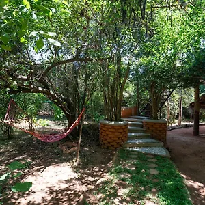 The Thick Forest Сигирия